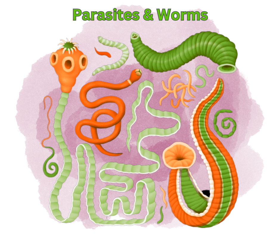 Parasites & Worms