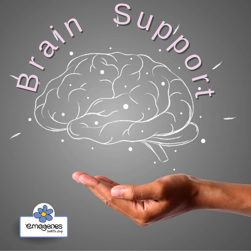 BRAIN SUPPORT