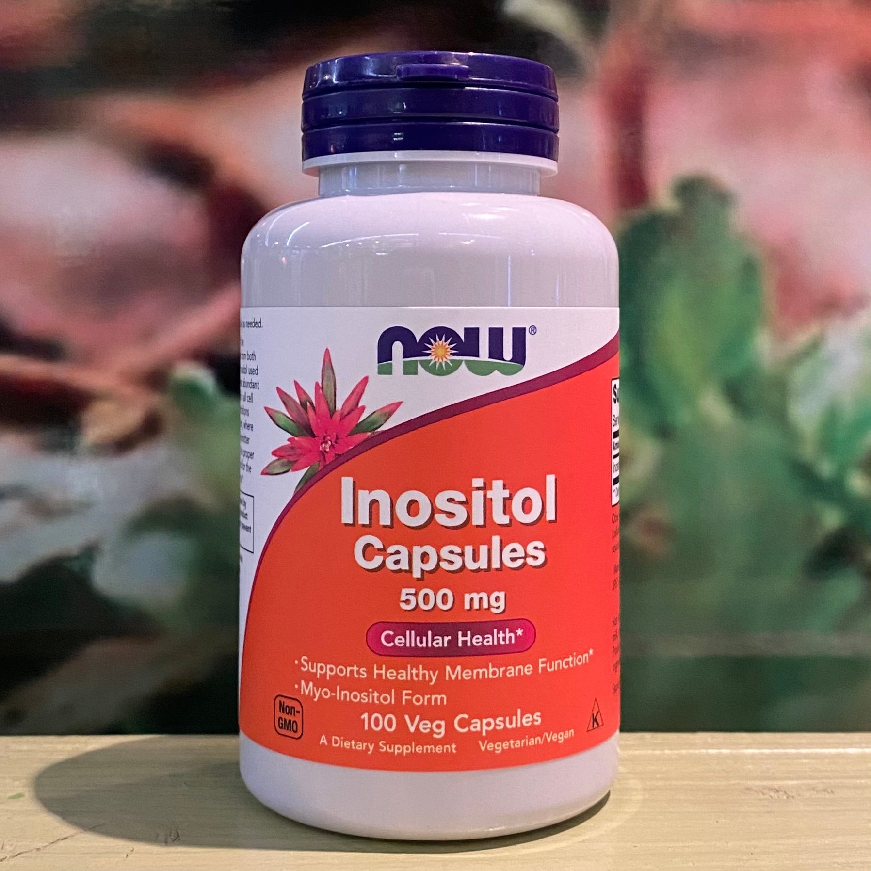 Now Inositol   100capules