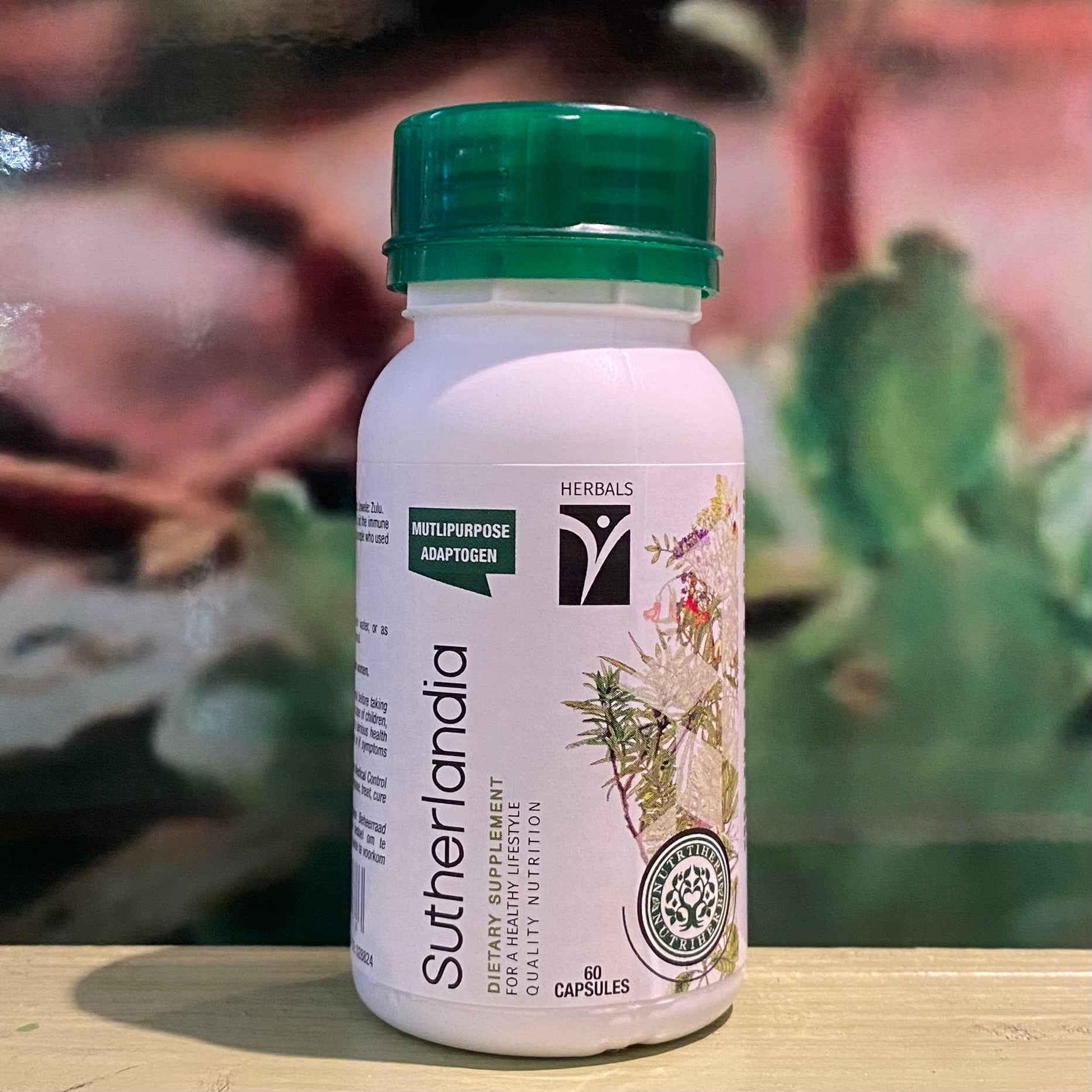 Nutri Life Sutherlandia  60 capsules