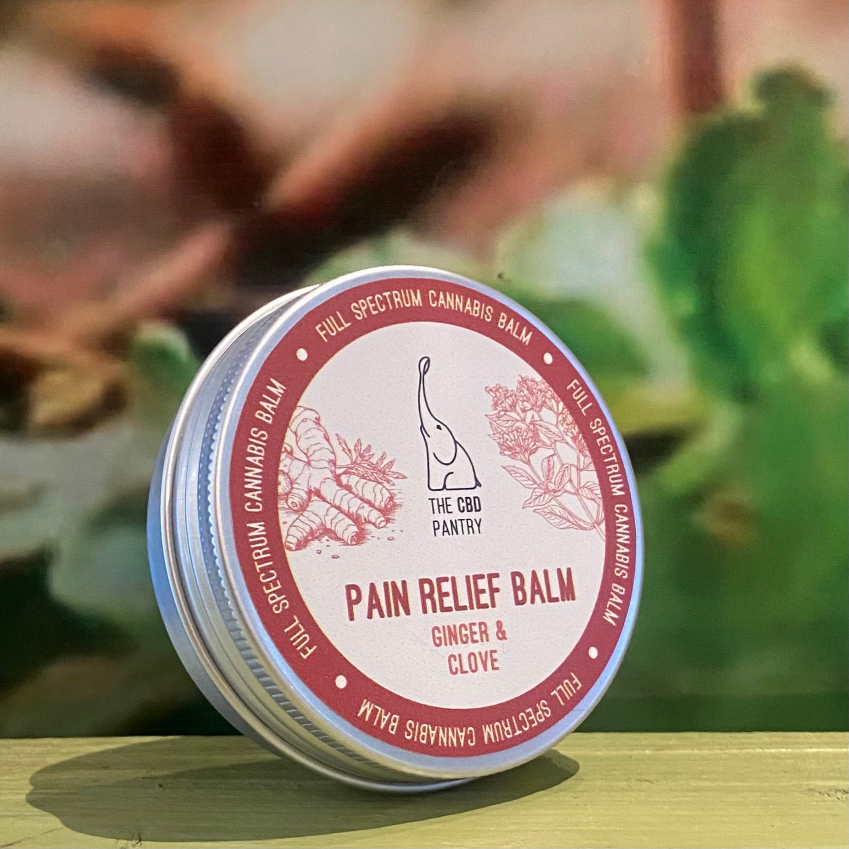 The CBD Pantry Pain Relief Ginger & Clove Balm 60g