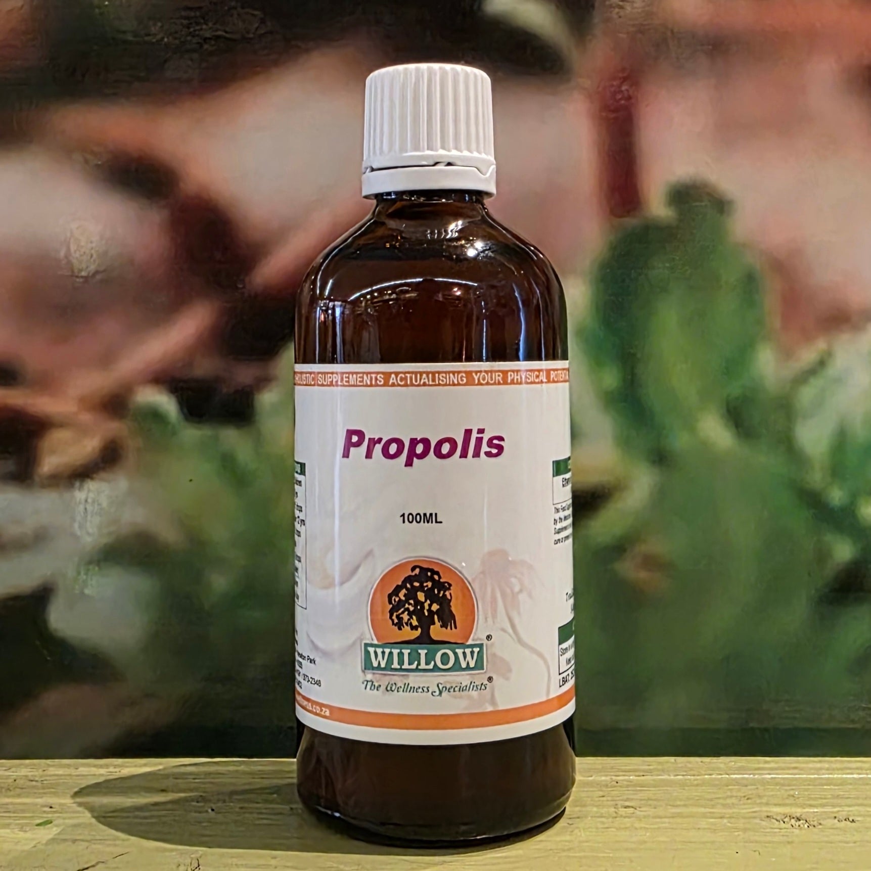 Willow Wellness Propolis 100ml