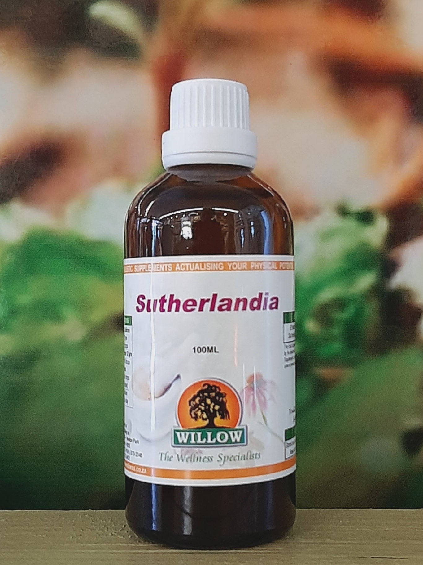 Willow Sutherlandia 100ml