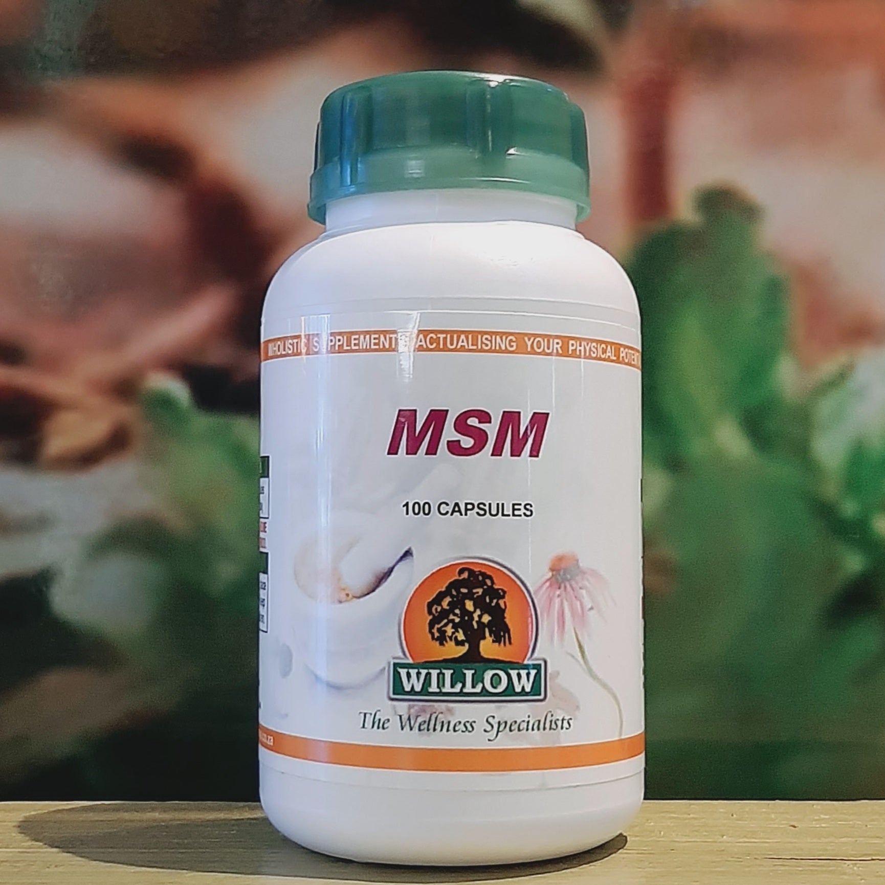 Willow MSM 100 capsules