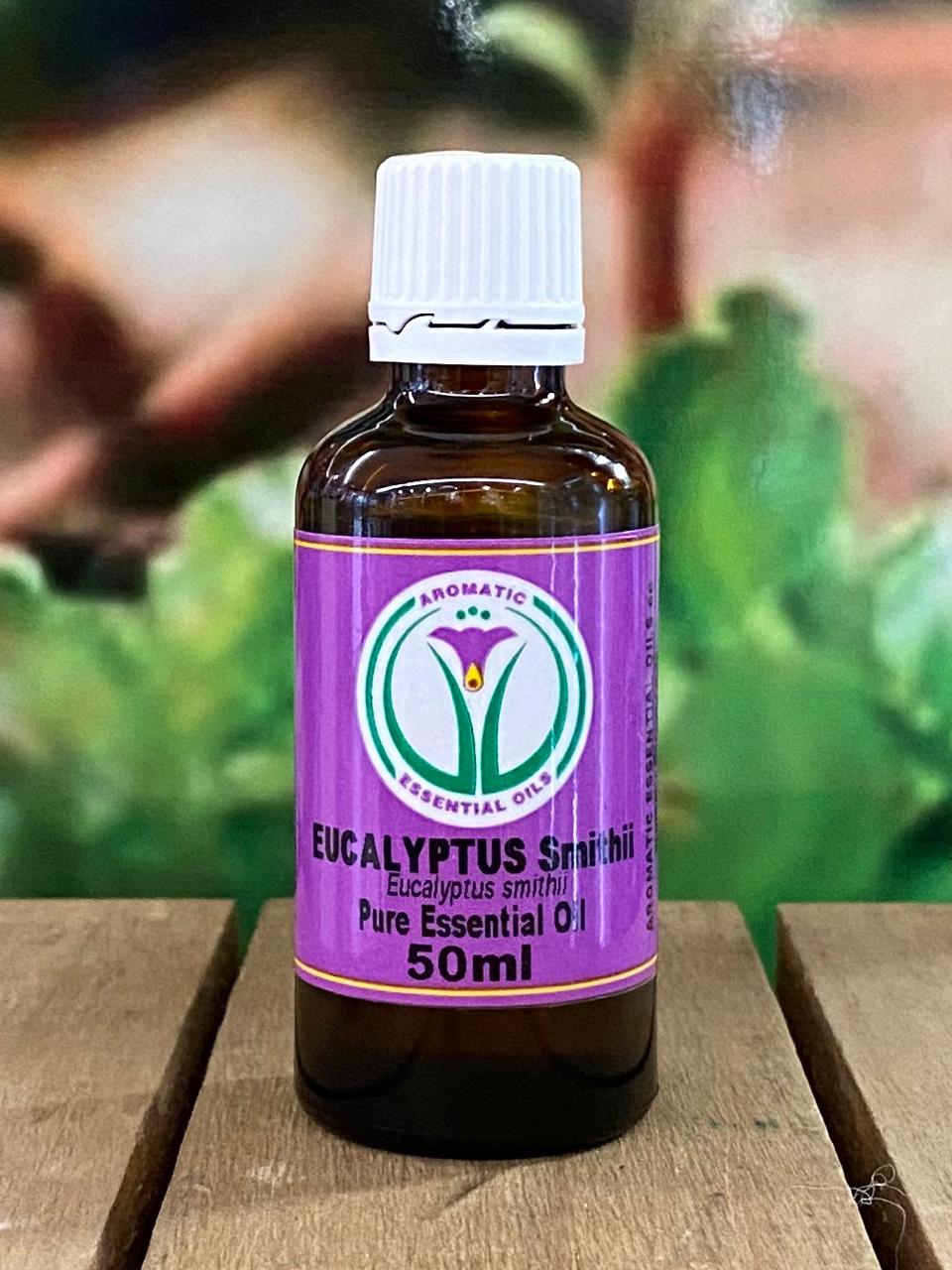 Aromatics Eucalyptus Essential Oil 50ml
