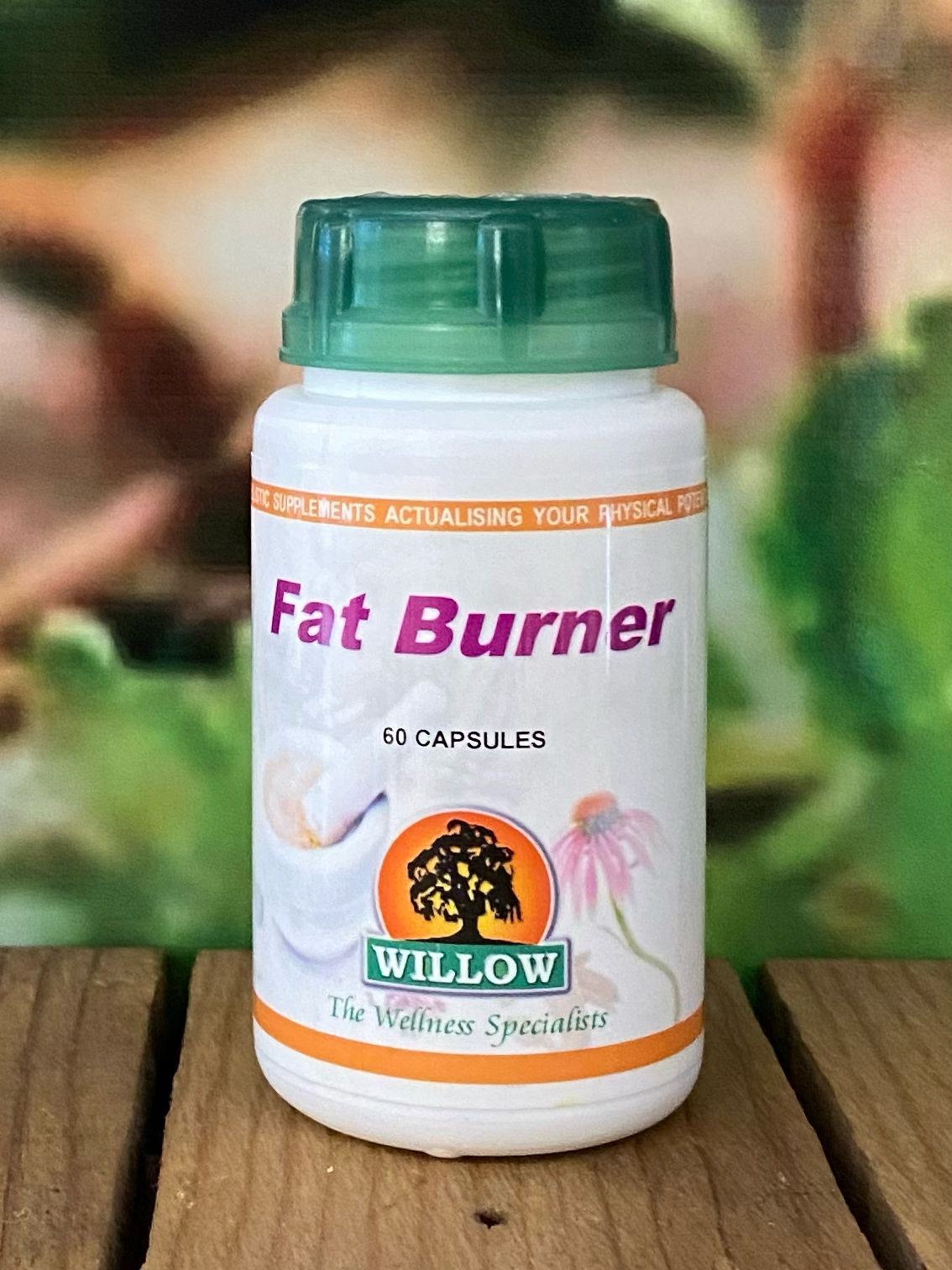 Willow Fat Burner 60 capsules