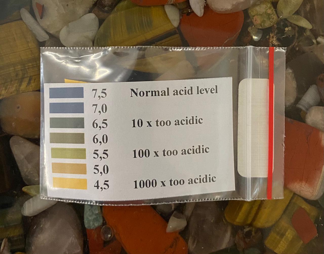 Ph Test Strips