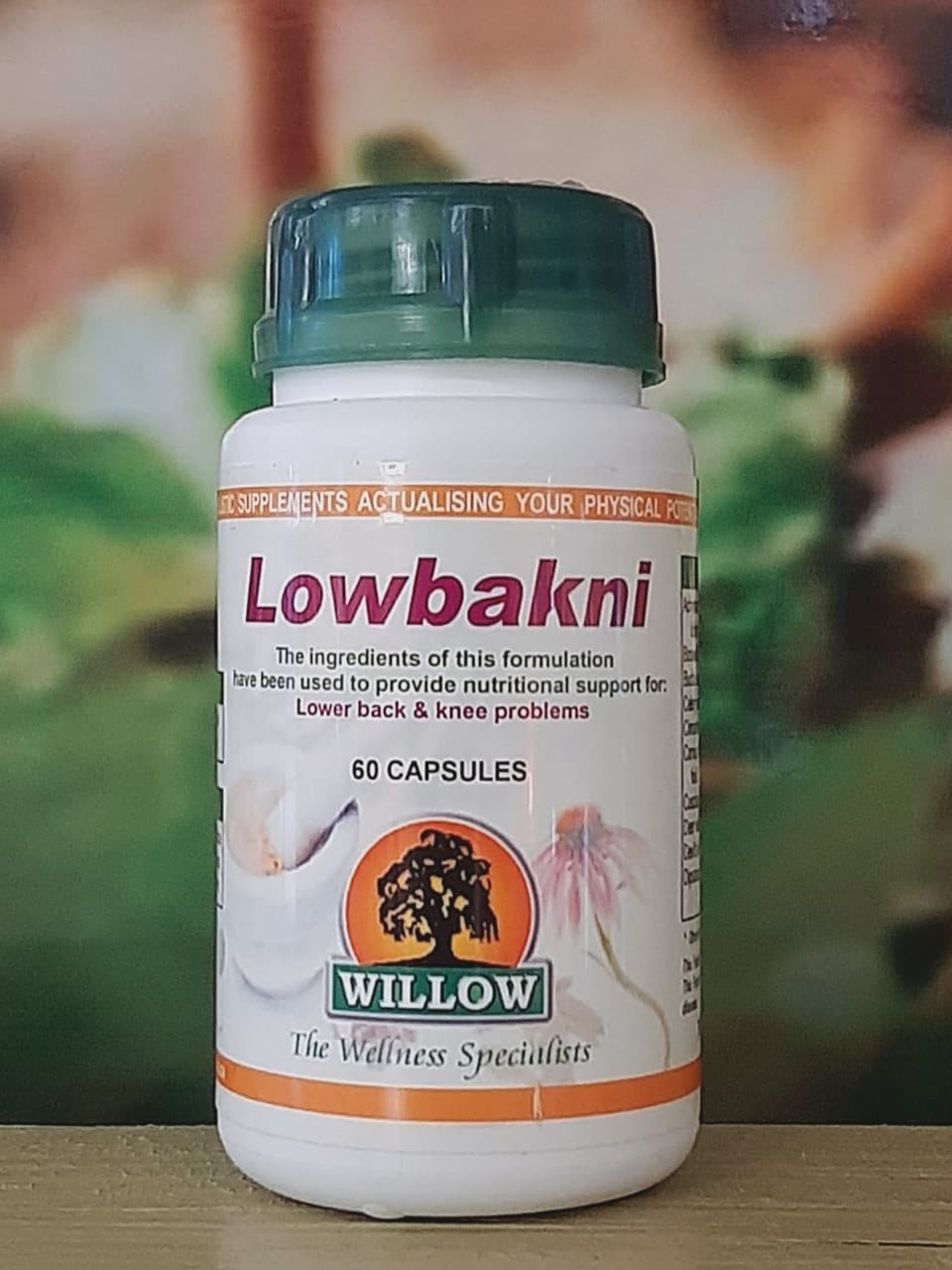 Willow Lowbakni 60 capsules