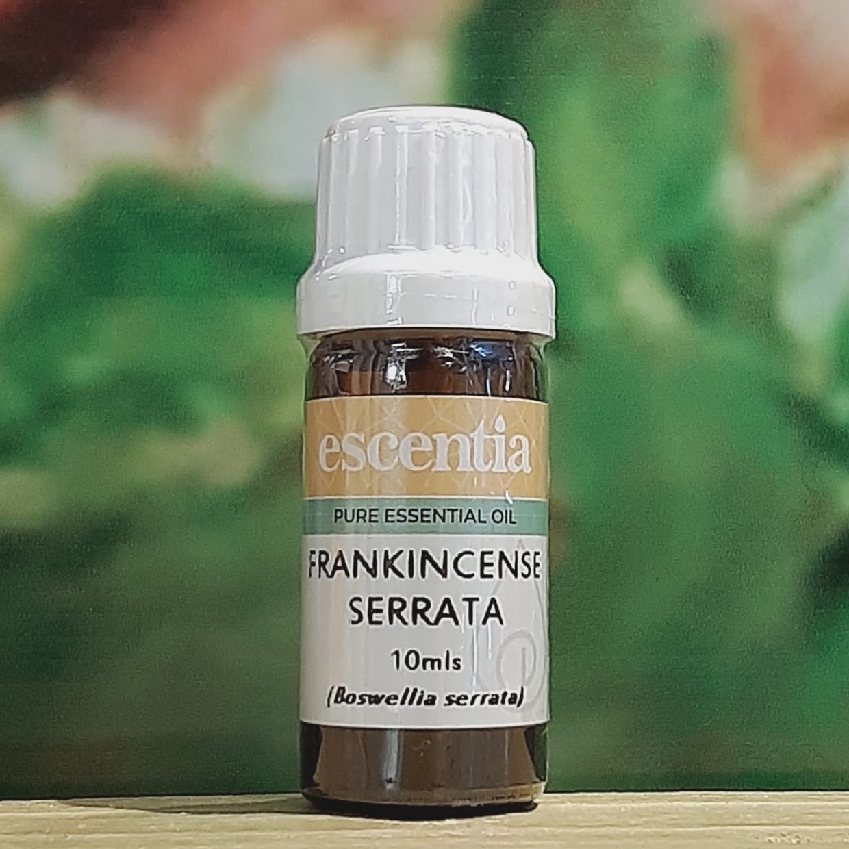 Escentia Frankincense Seratta Essential Oil 10ml