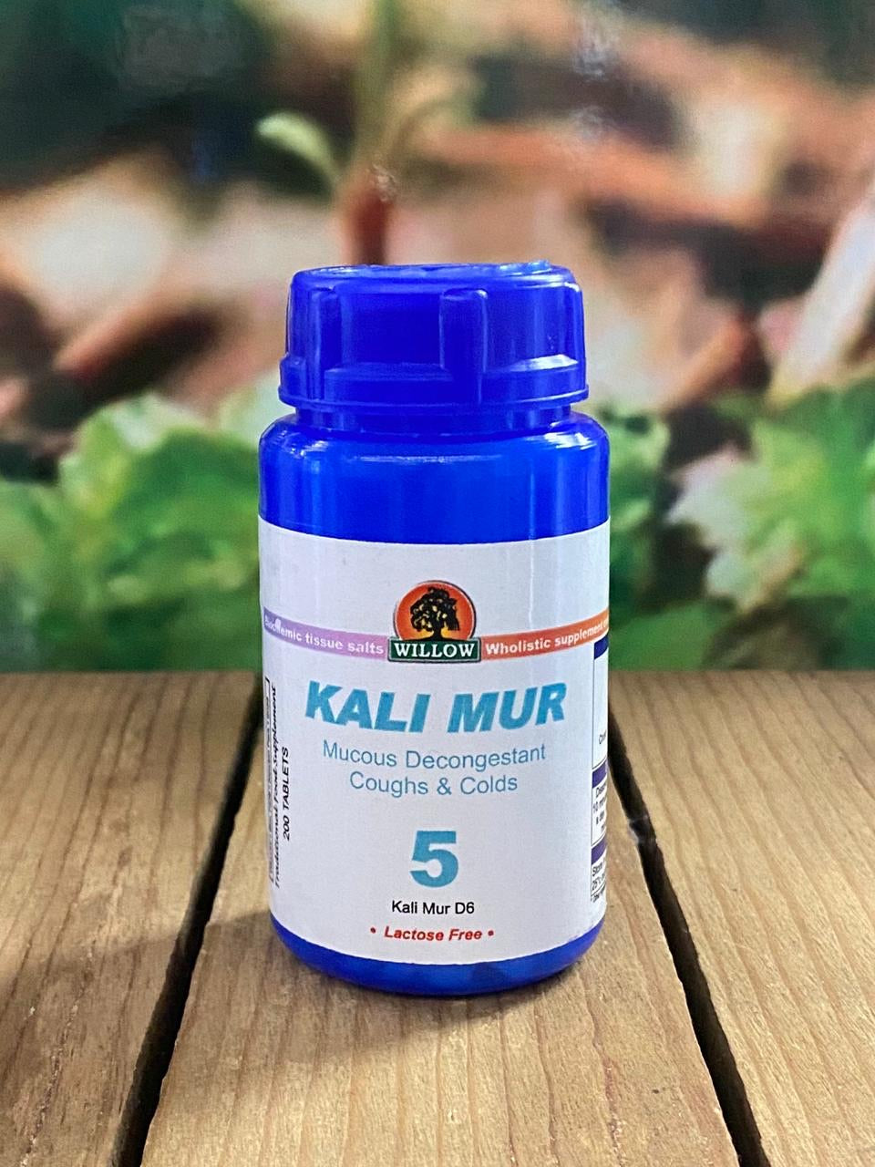 Willow Kali Mur No.5