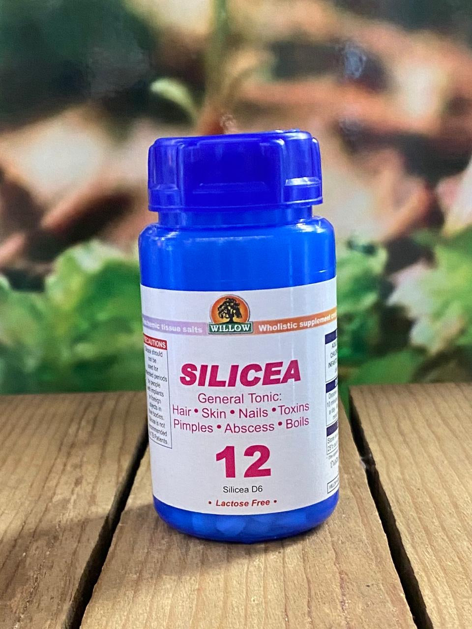 Willow Silicea No. 12