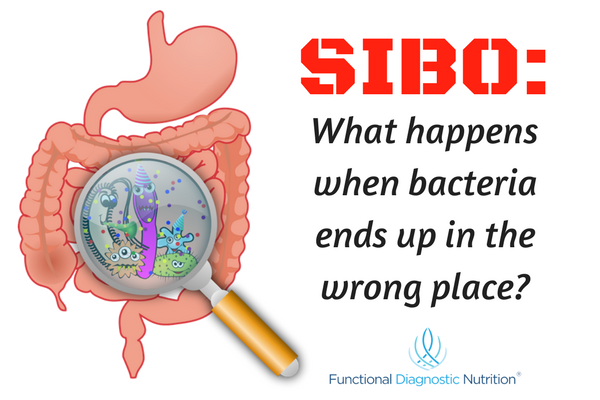 SIBO (It's not just a funny word)