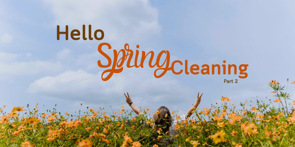 Spring Cleaning part 2