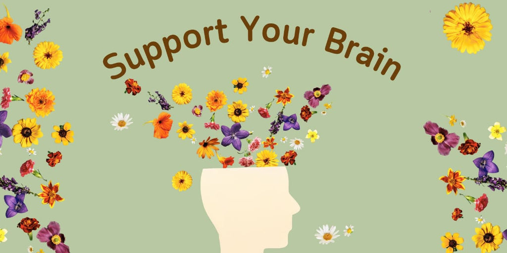 Brain Health Essentials