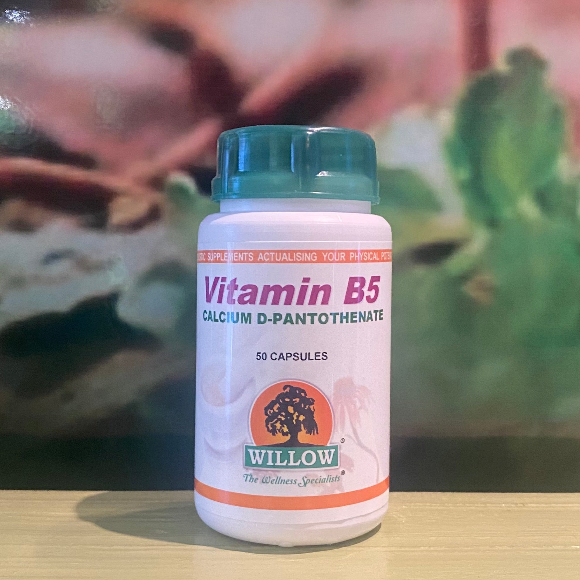 Willow Vitamin B5  50 capsules