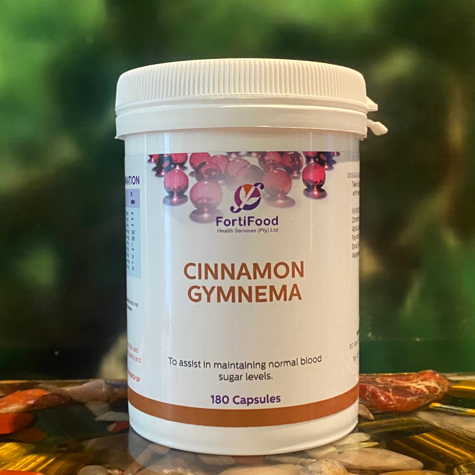 Fortifood Cinnamon/Gymnema 180 capsules