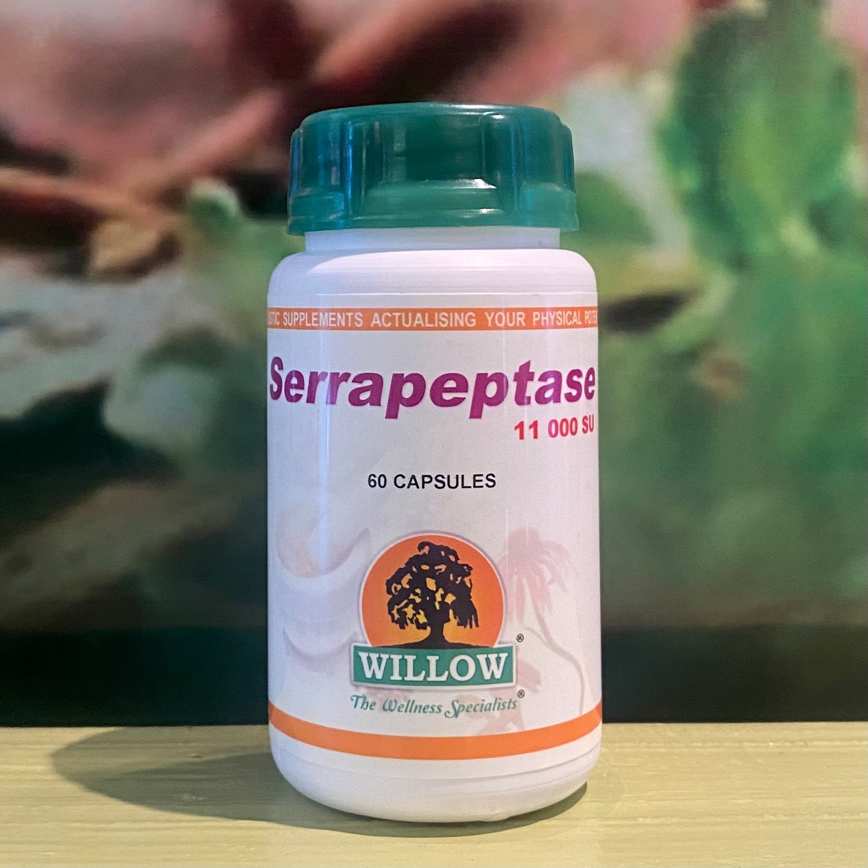 Willow Serrapeptase  60 capsules