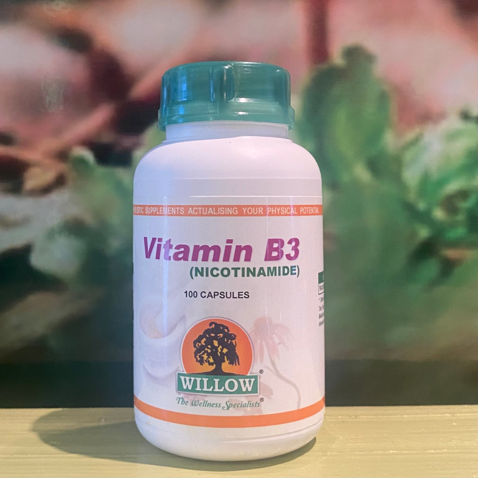 Willow Vitamin B3  100 capsules