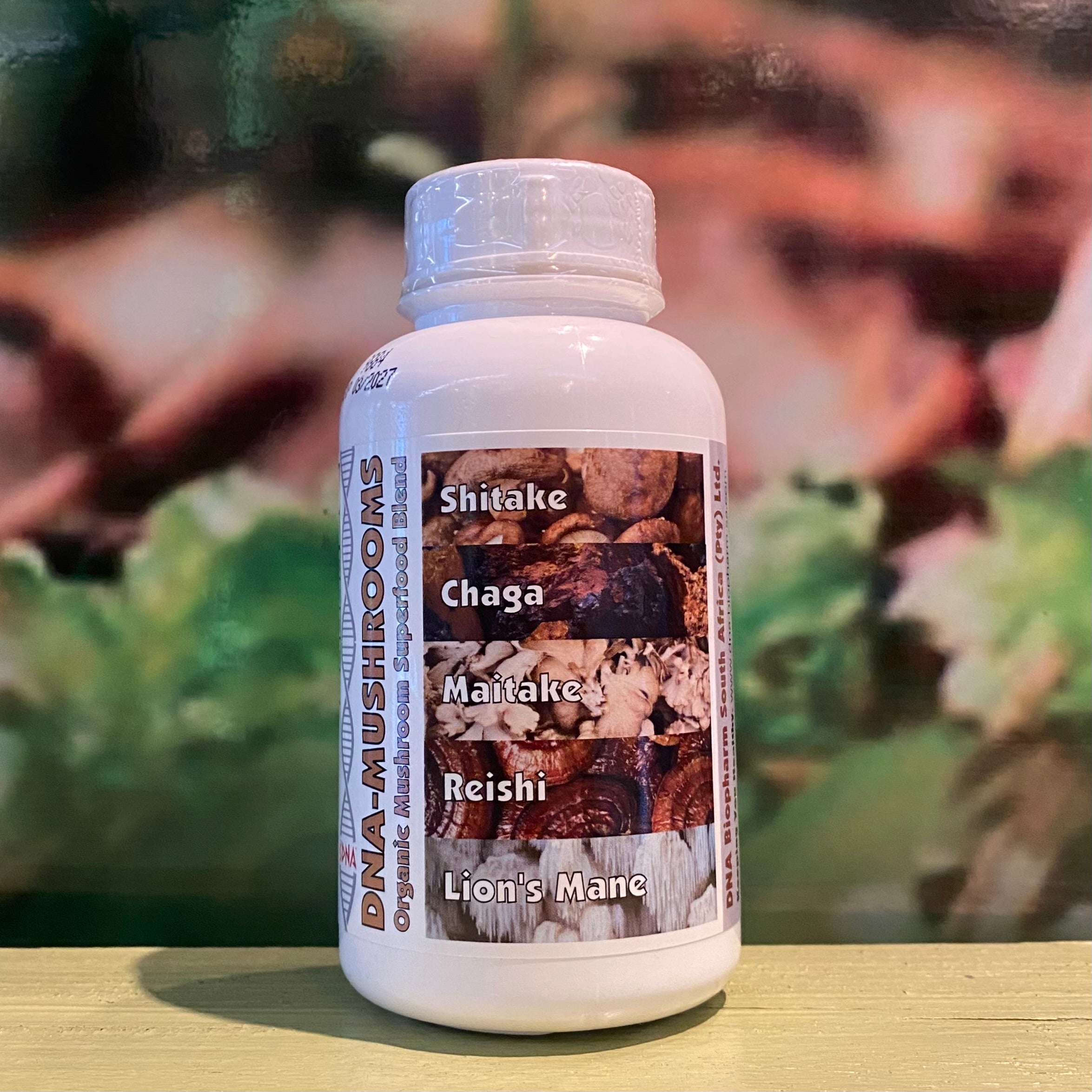 DNA Mushrooms  60 capsules