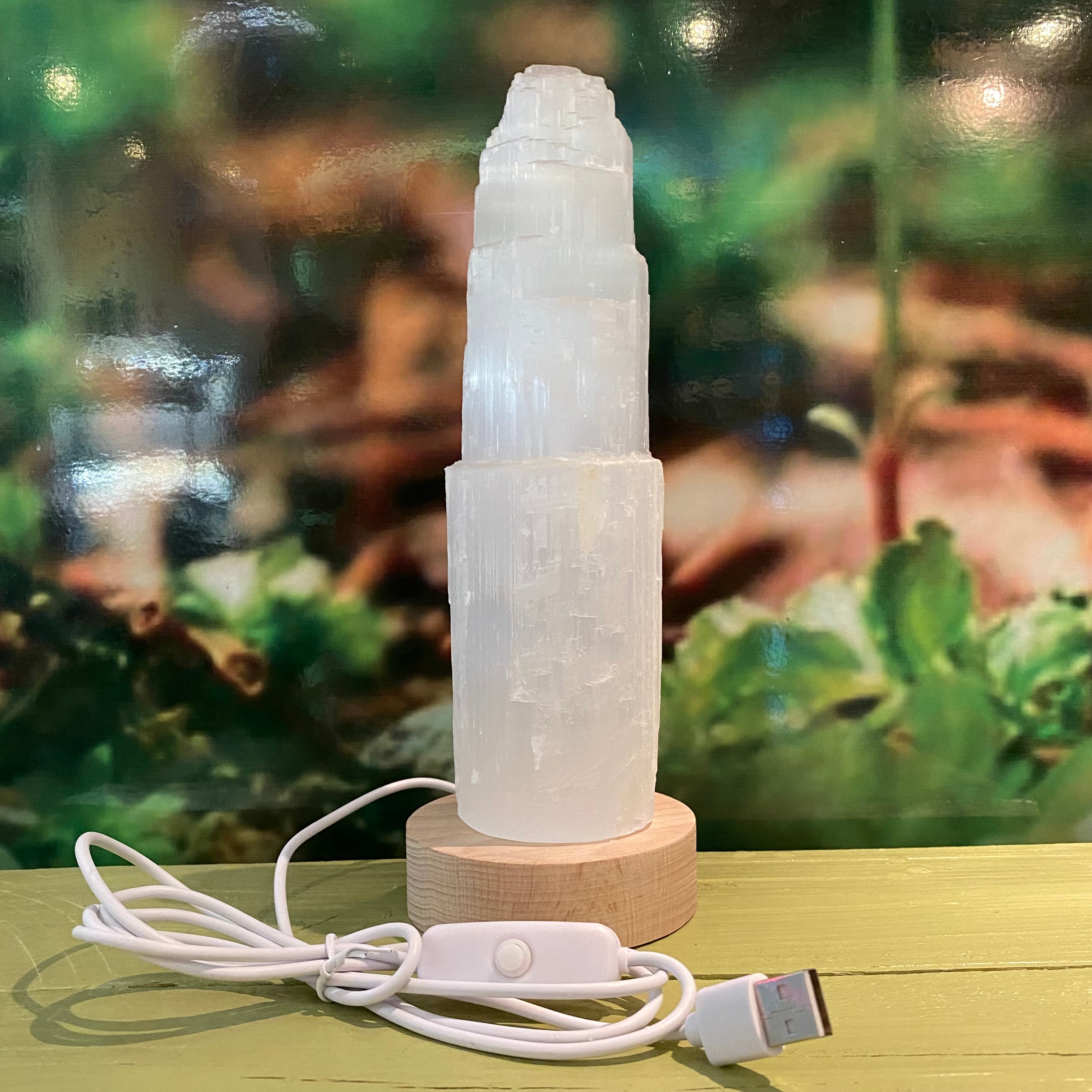 Large Selenite Led lamp
