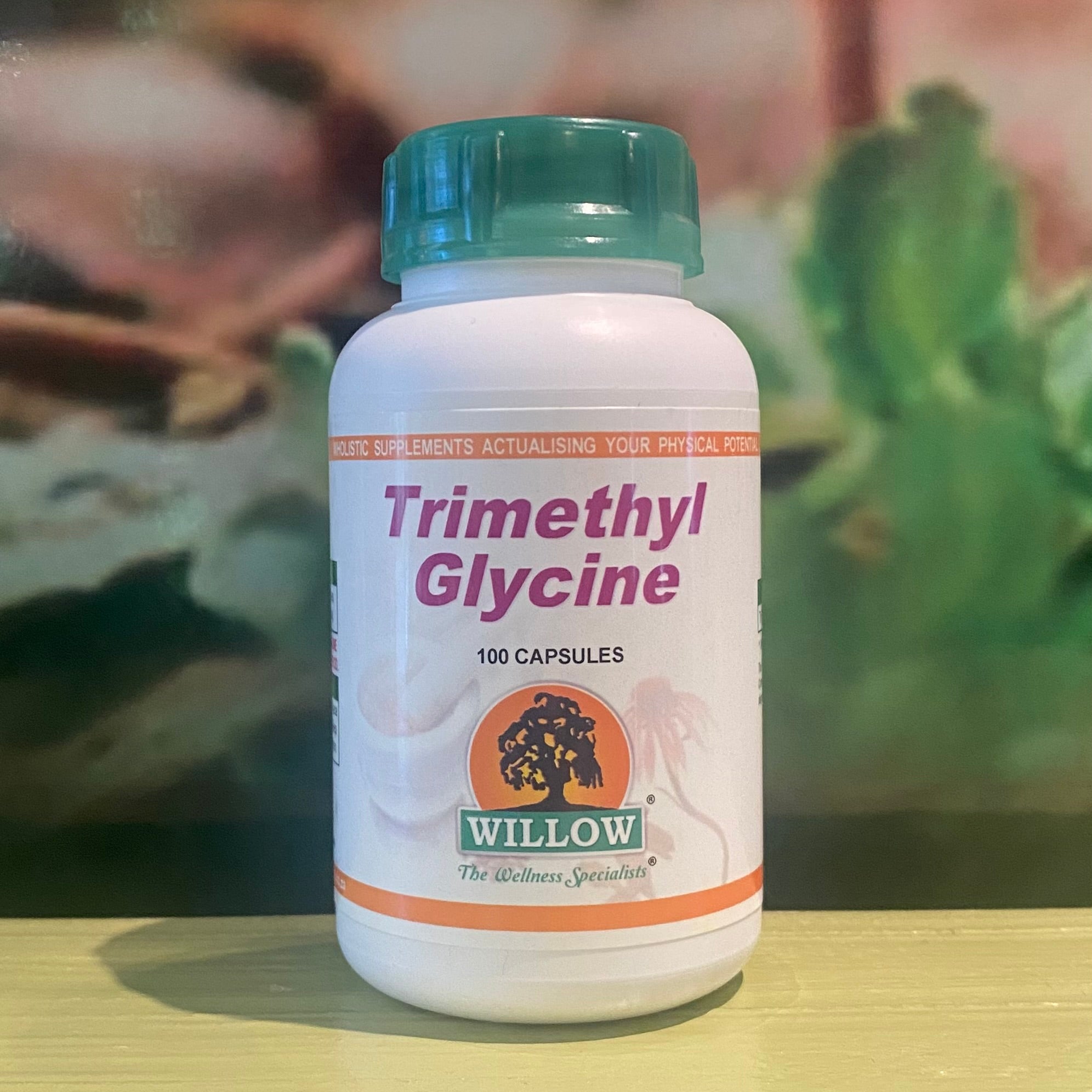 Willow Trimethyl Glycine  100 capsules