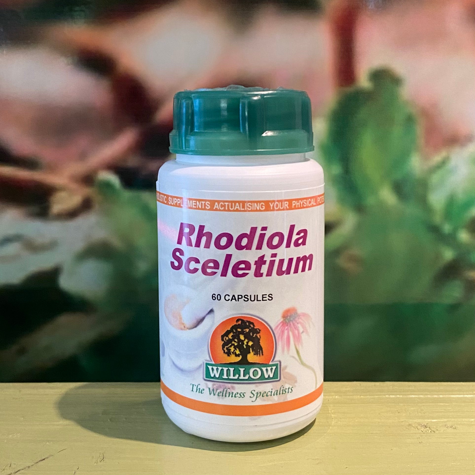 Willow Rhodiola-Sceletium  60 capsules