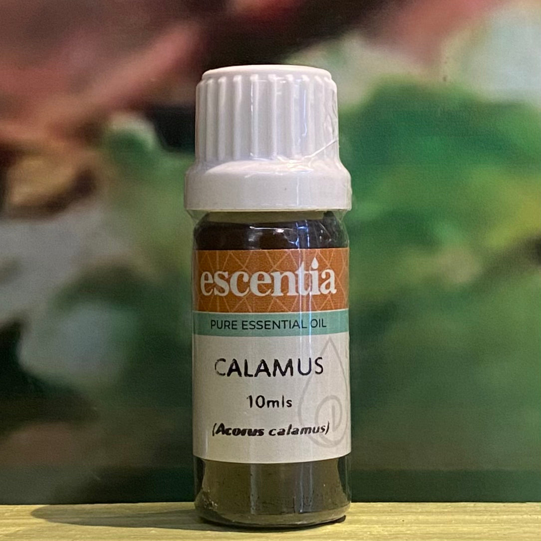Escentia Calamus Essential Oil 10ml
