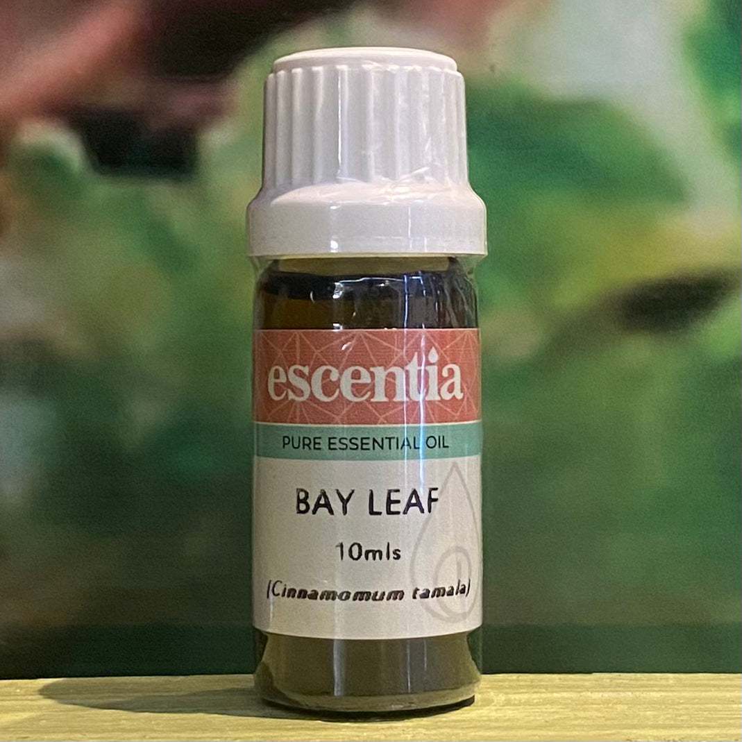 Escentia Bay Leaf Pure Essential Oil 10 ml