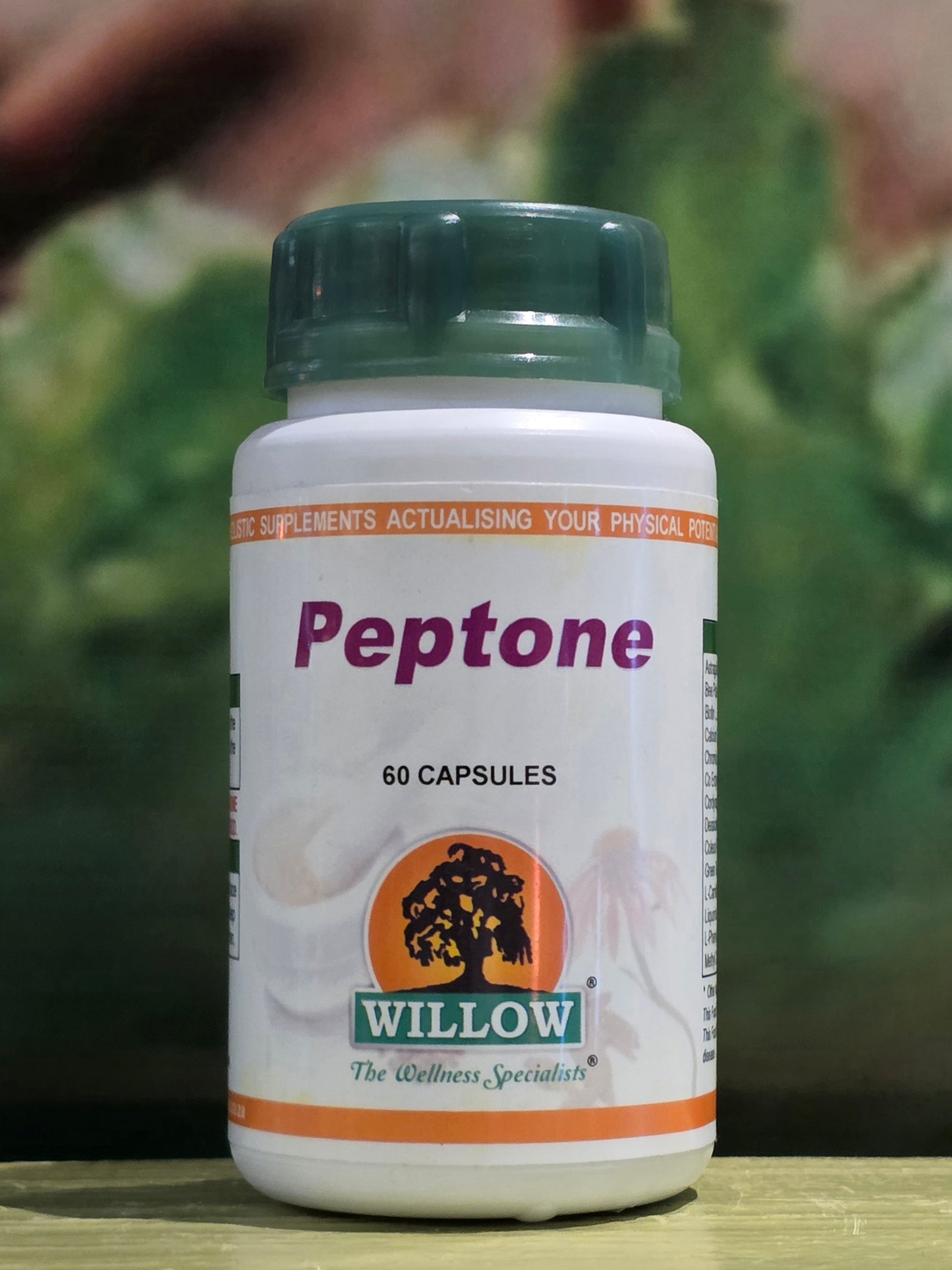 Willow Peptone 60 capsules