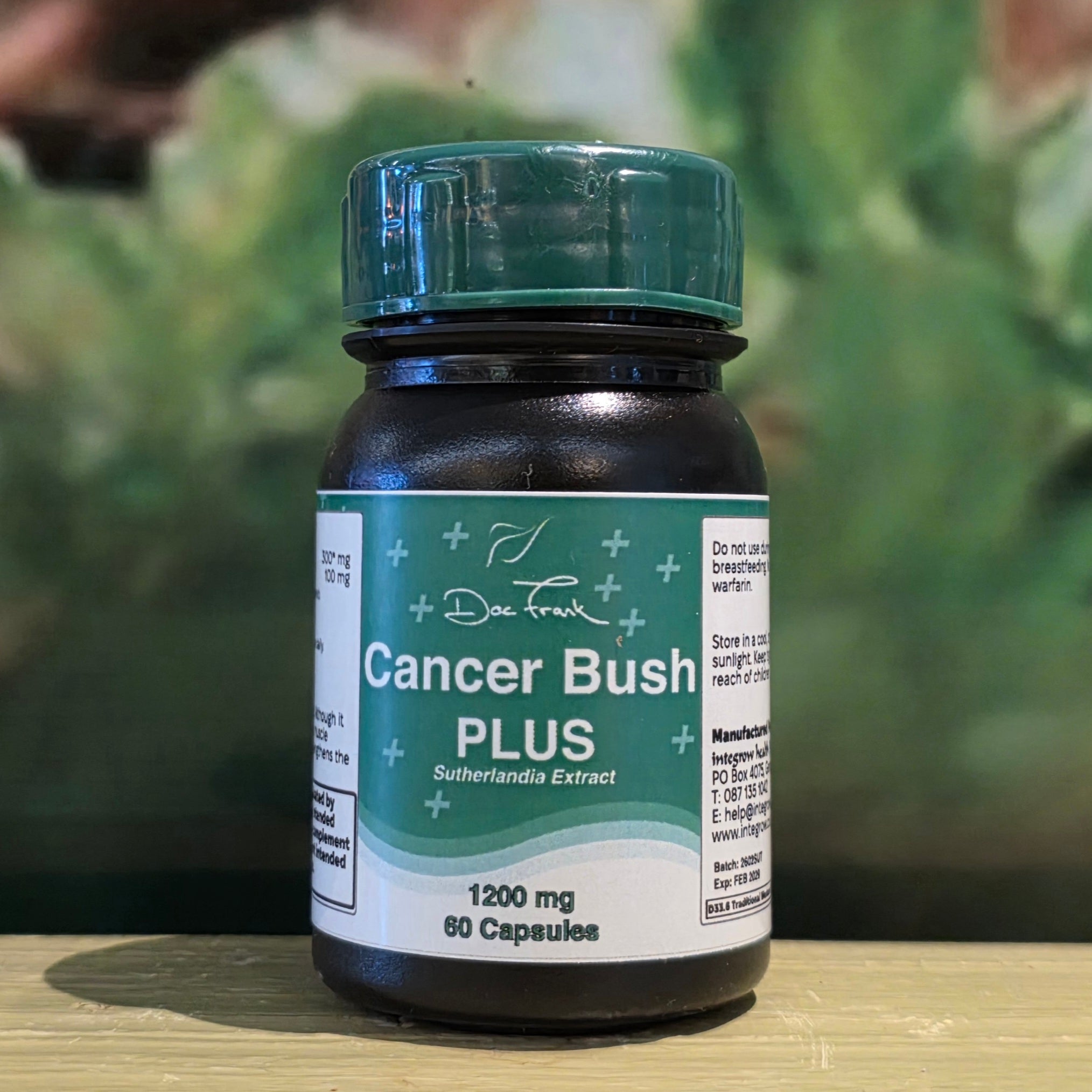 Intergrow Doc Frank Cancer Bush Plus 60 capsules