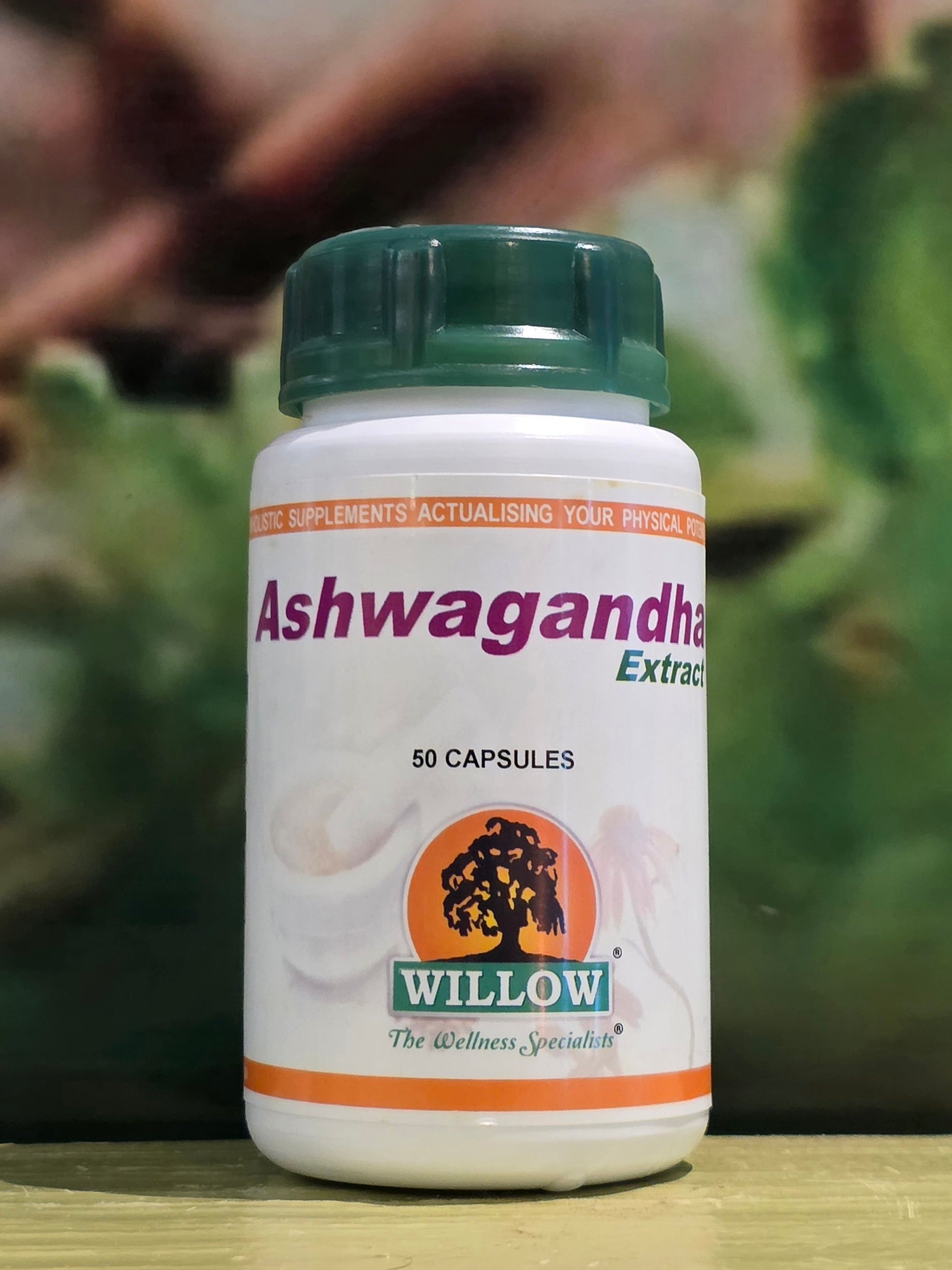 Willow Wellness Ashwagandha 50 Capsules