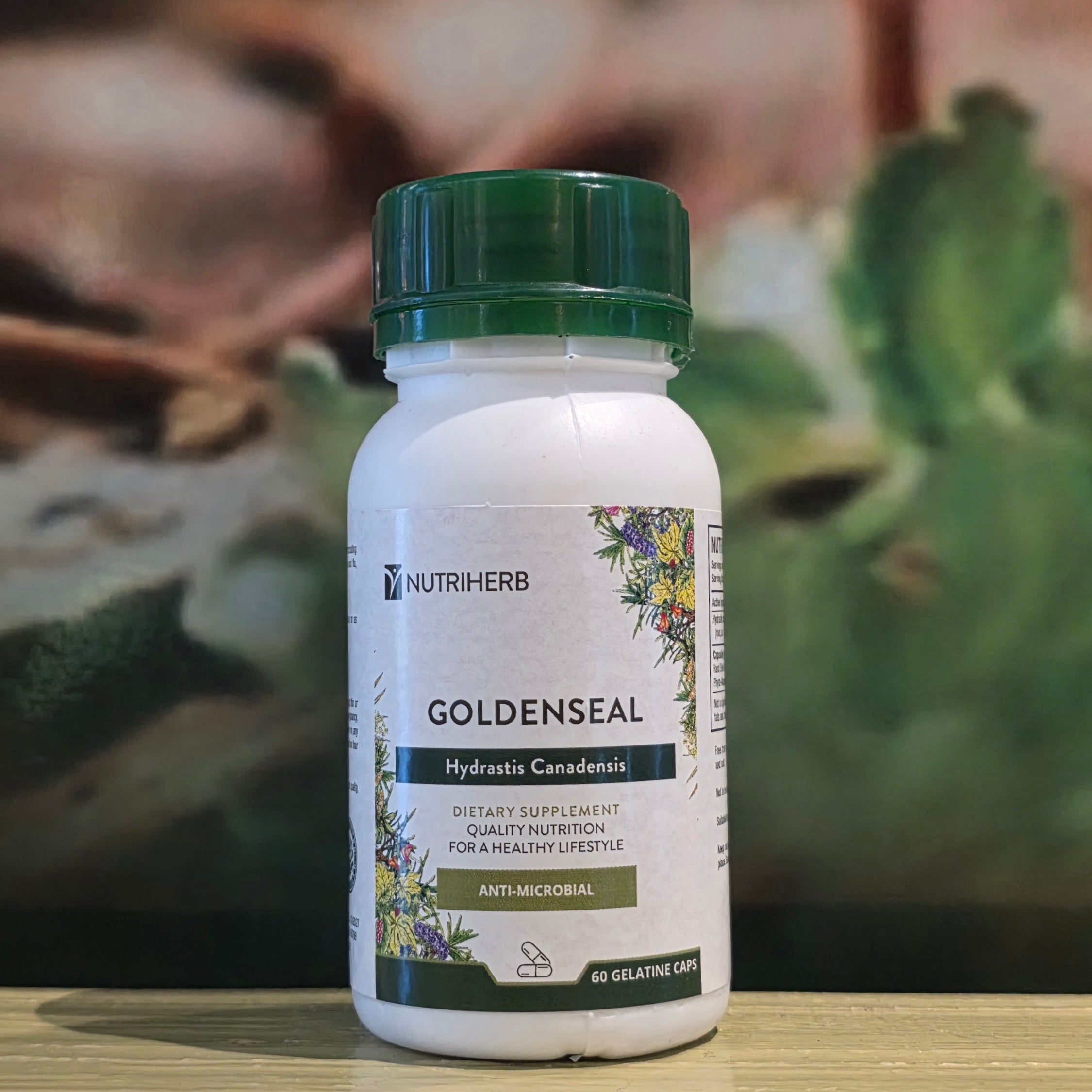 Nutri Herb Goldenseal  60 capsules