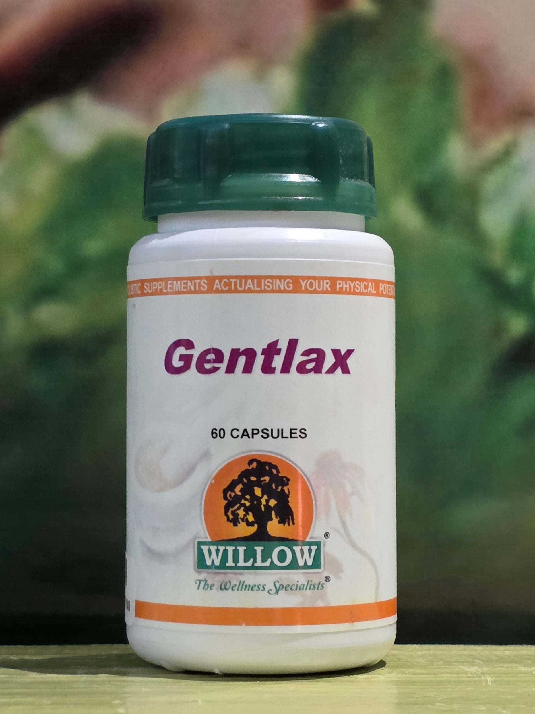 Willow Gentlax 60 capsules