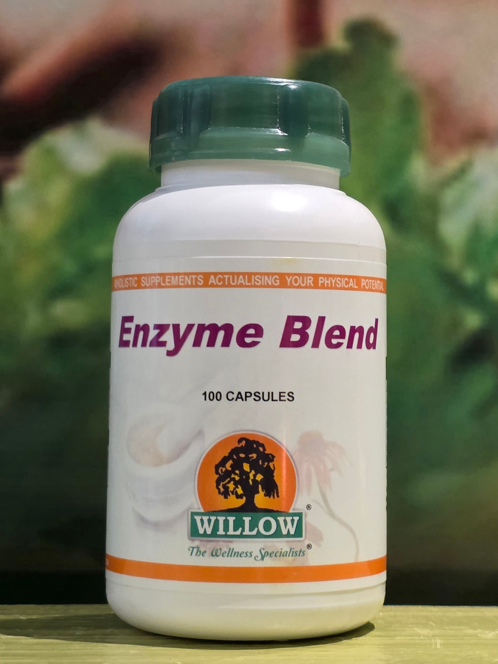 Willow Enzyme Blend 100 capsules