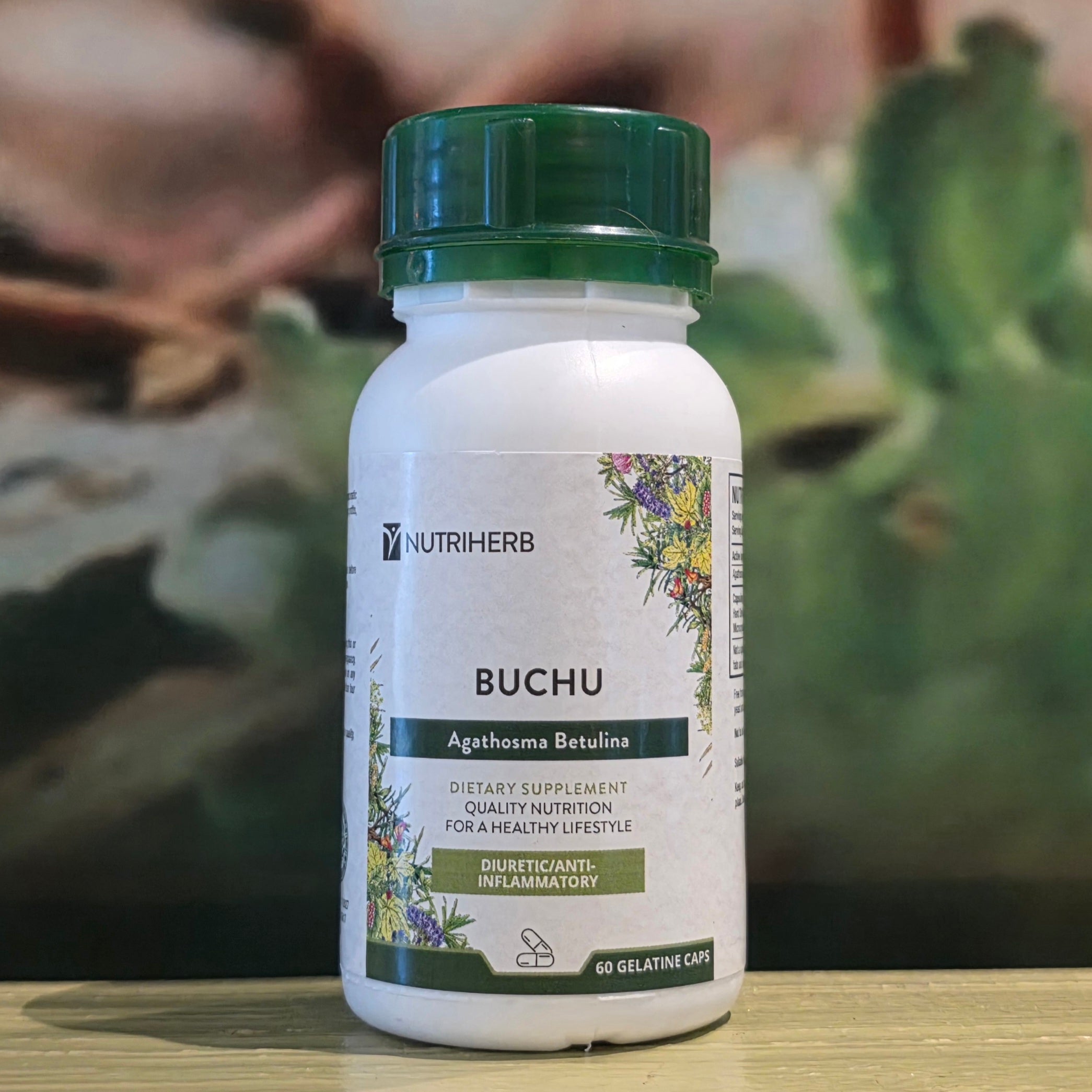 Nutri Herb Buchu 60 capsules