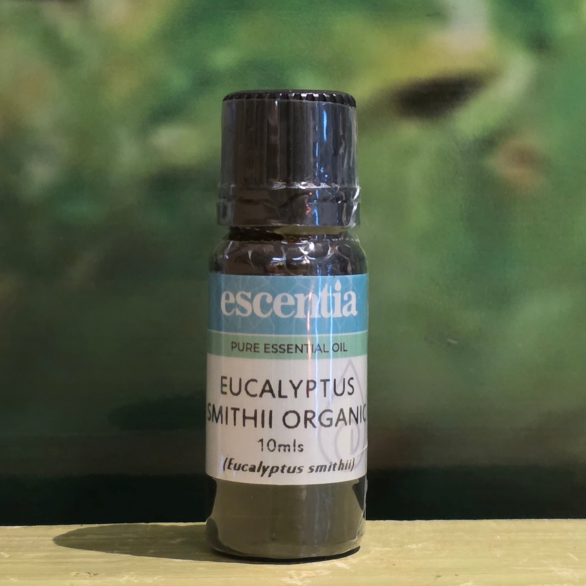 Escentia Eucalyptus 10ml