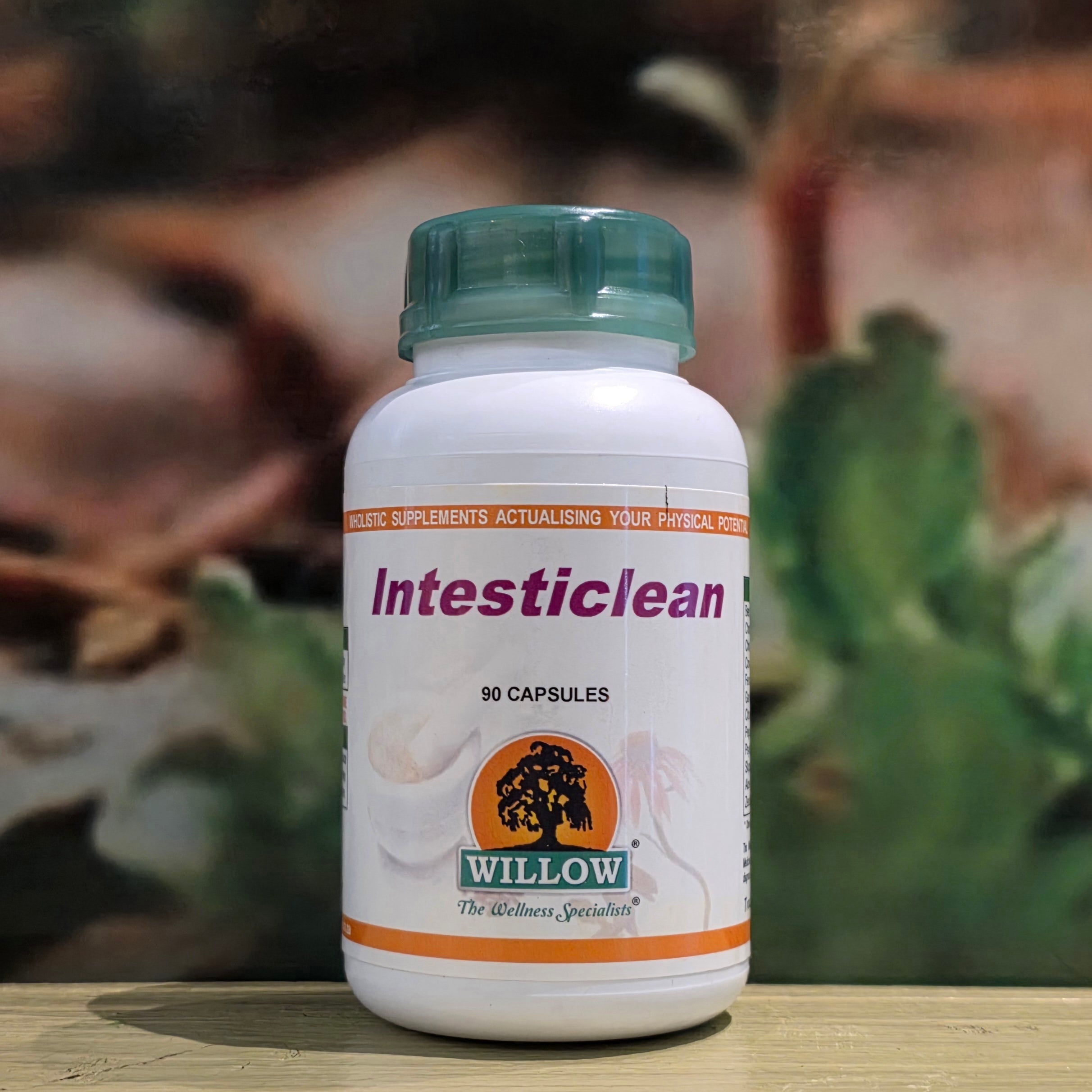 Willow Intesticlean 90 capsules