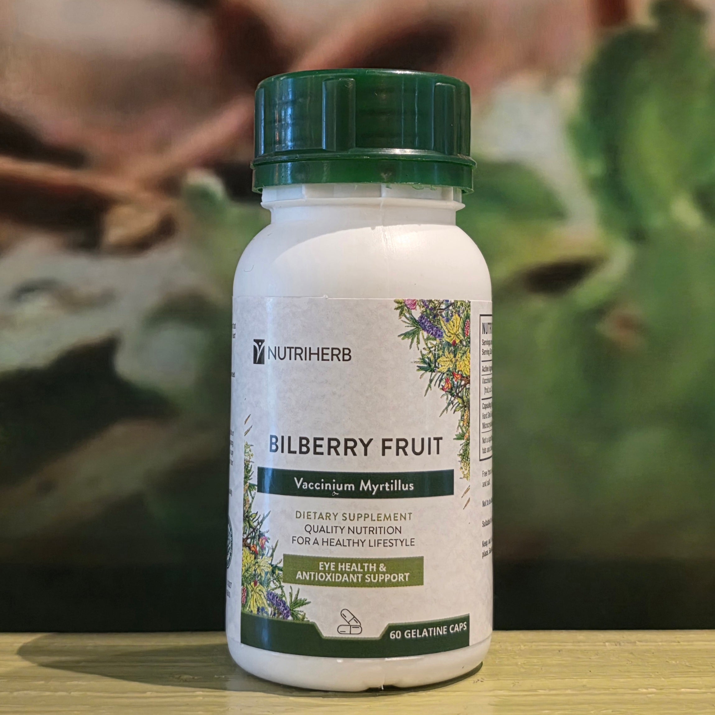 Nutri Herb Bilberry Fruit 60 capsules
