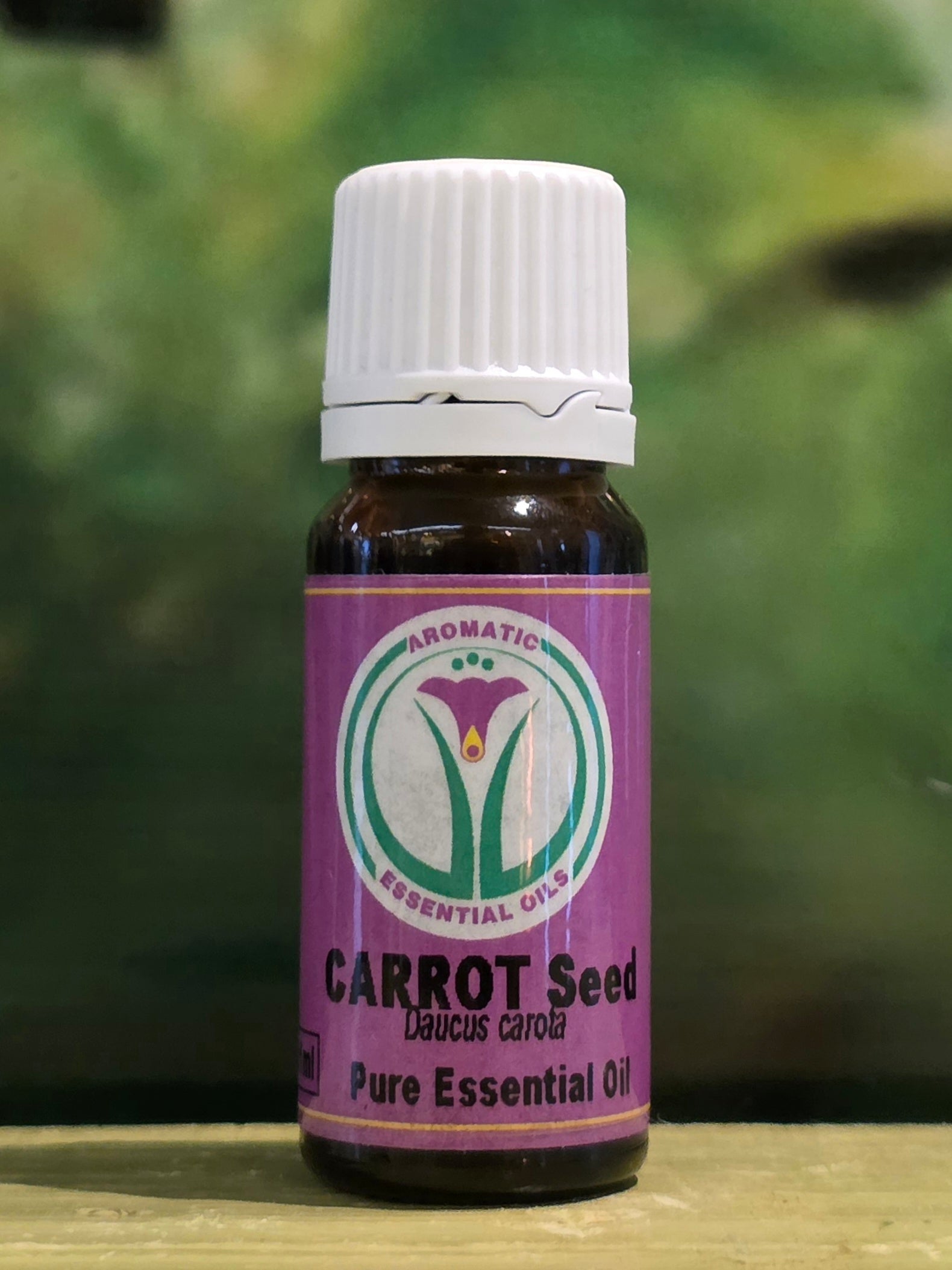Aromatic essential oil Carrot Seed 10ml