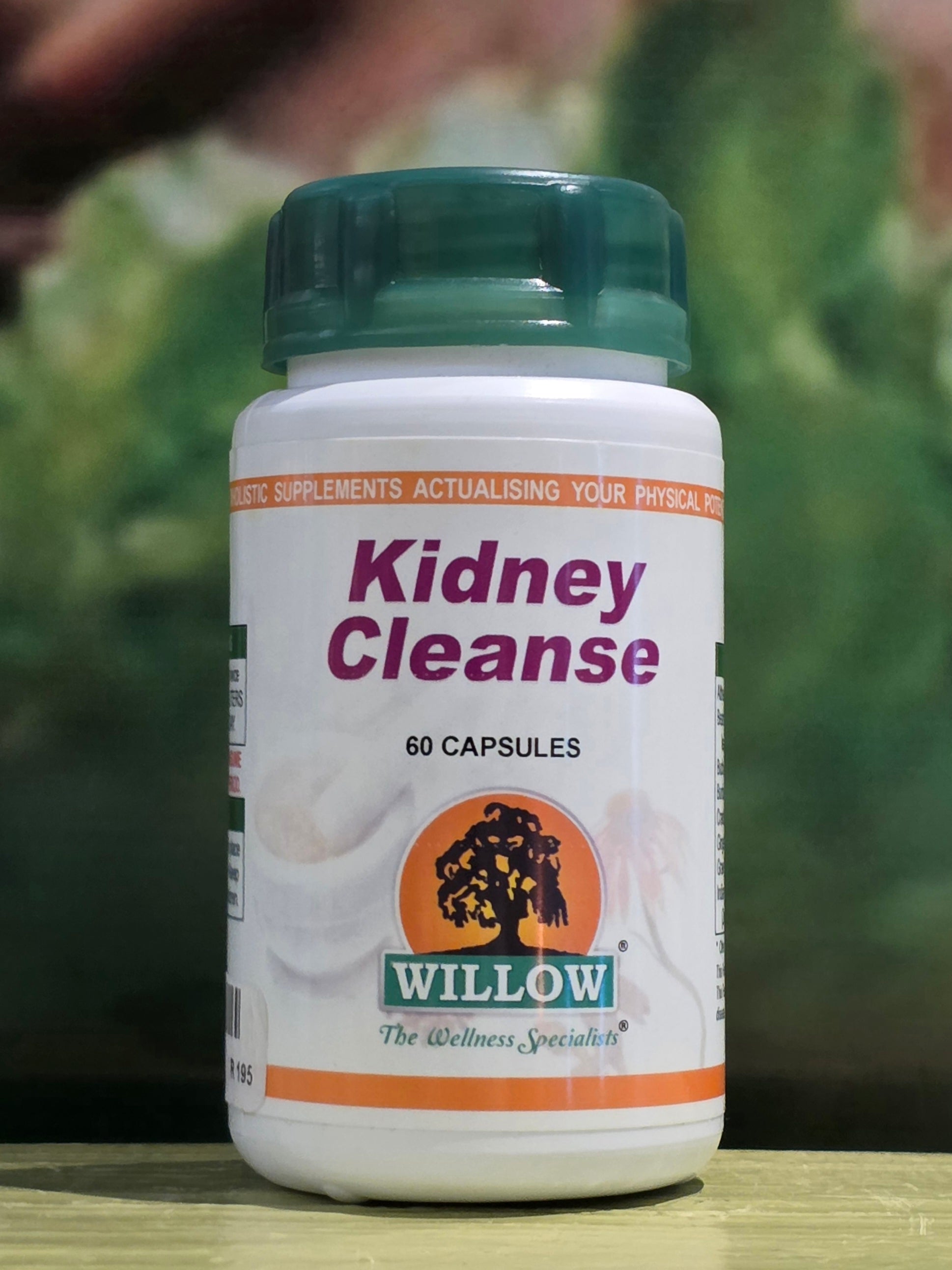 Willow Kidney Cleanse 60 capsules