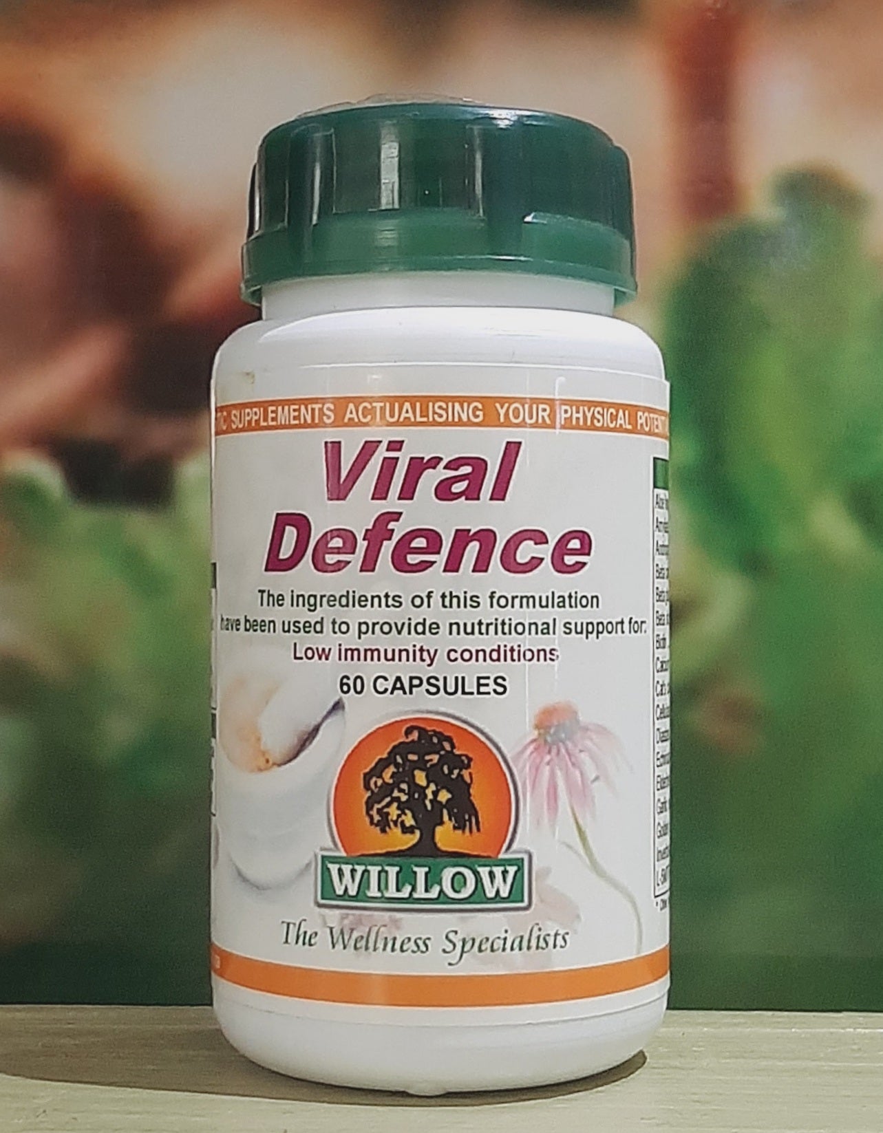 Willow Viral Defence 60 capsules