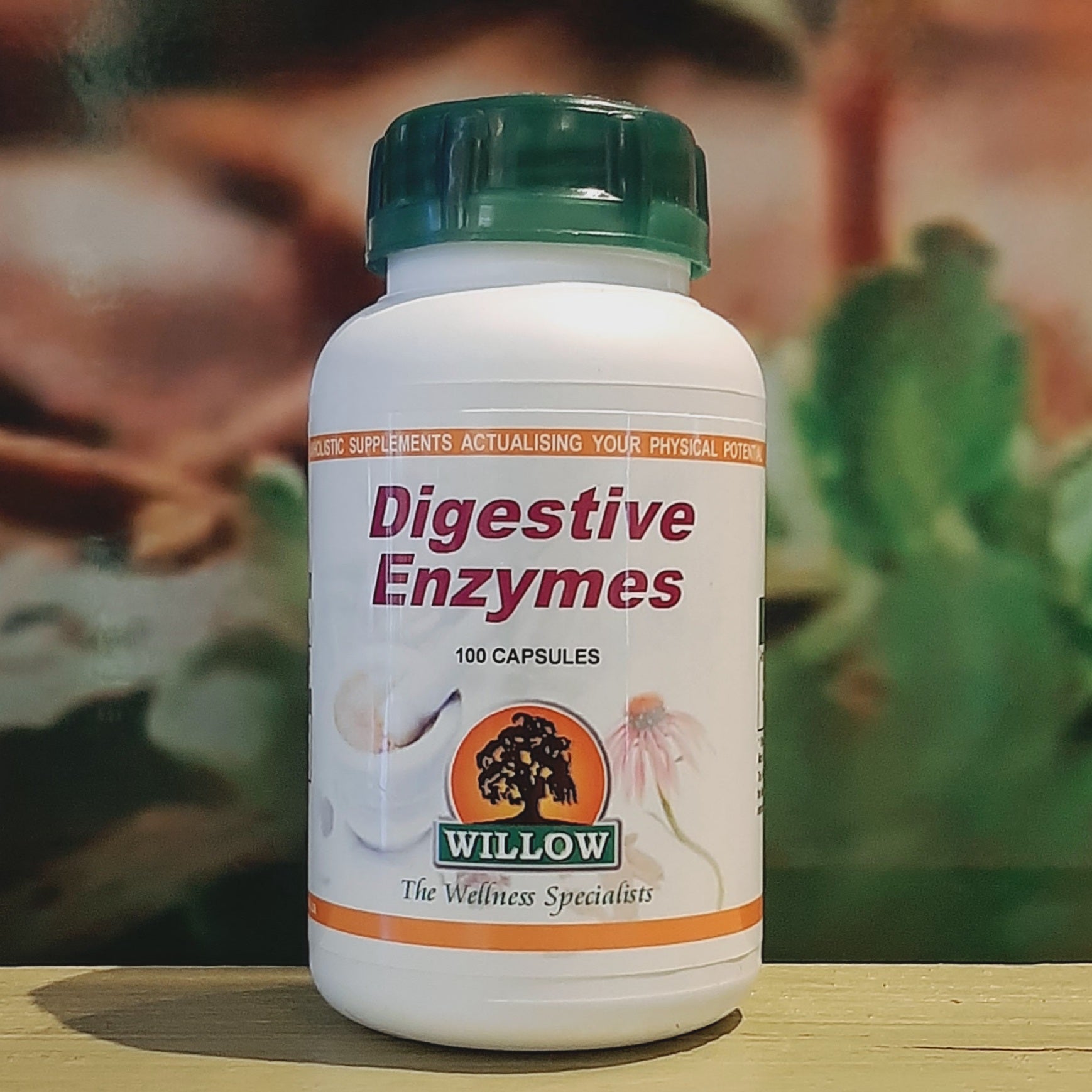 Willow Digestive Enzymes 100 capsules