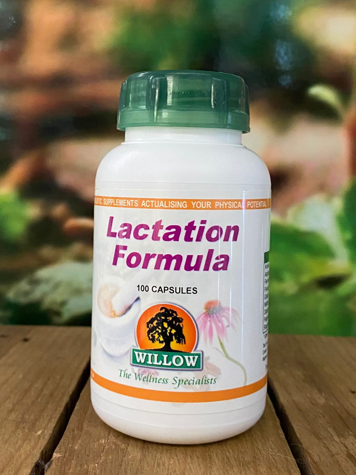 Willow Lactation formula 100 capsules