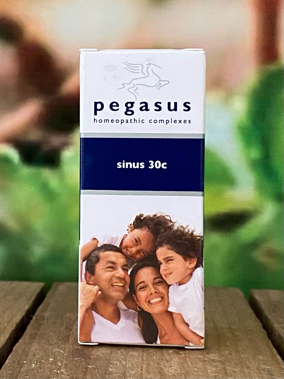 Pegasus Sinus
