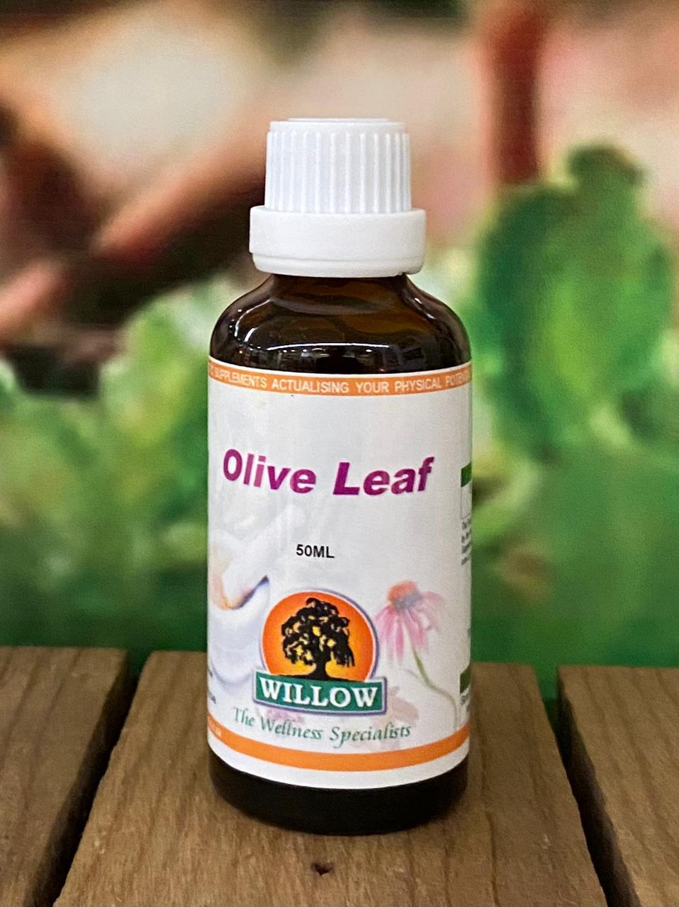 Willow Olive Leaf Drops 50ml