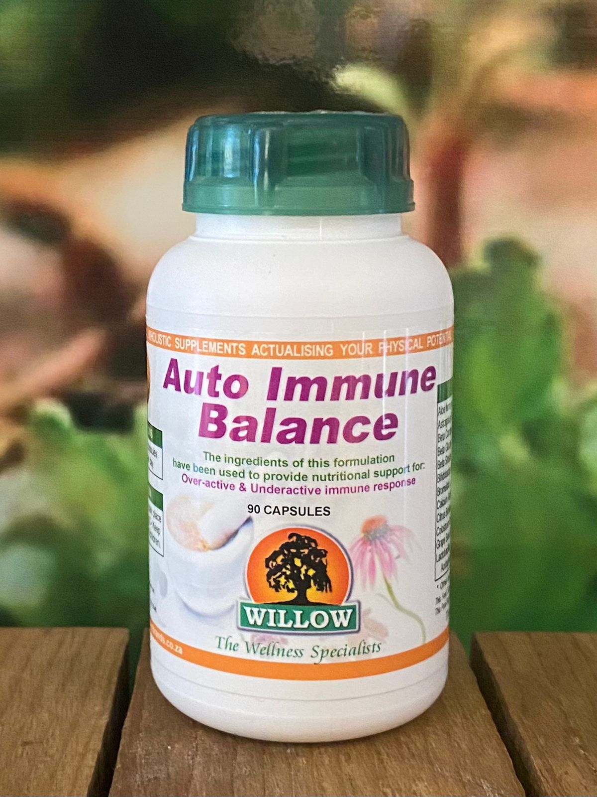 Willow Auto Immuno Balance 90 capsules