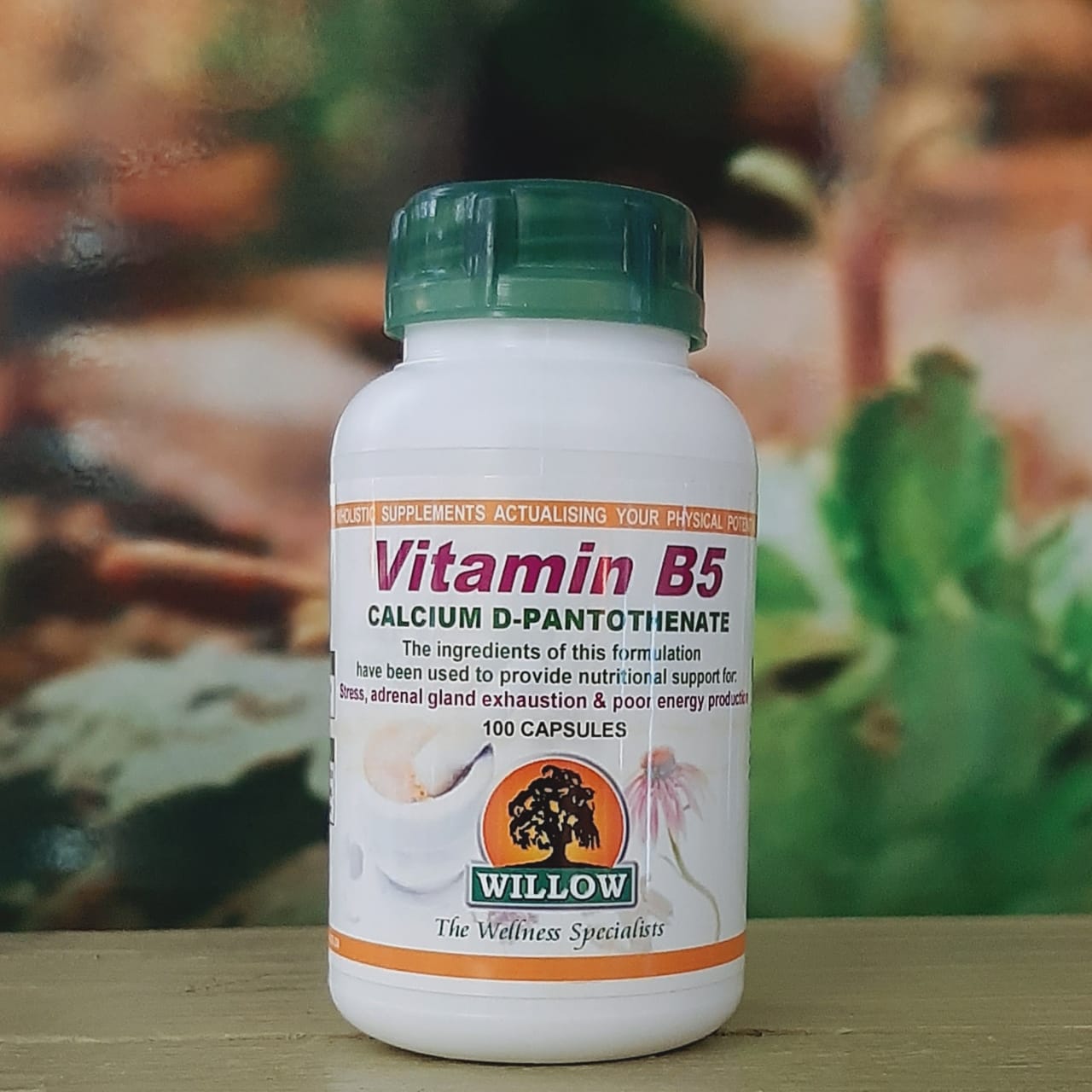 Willow Vitamin B5 250mg 100 capsules