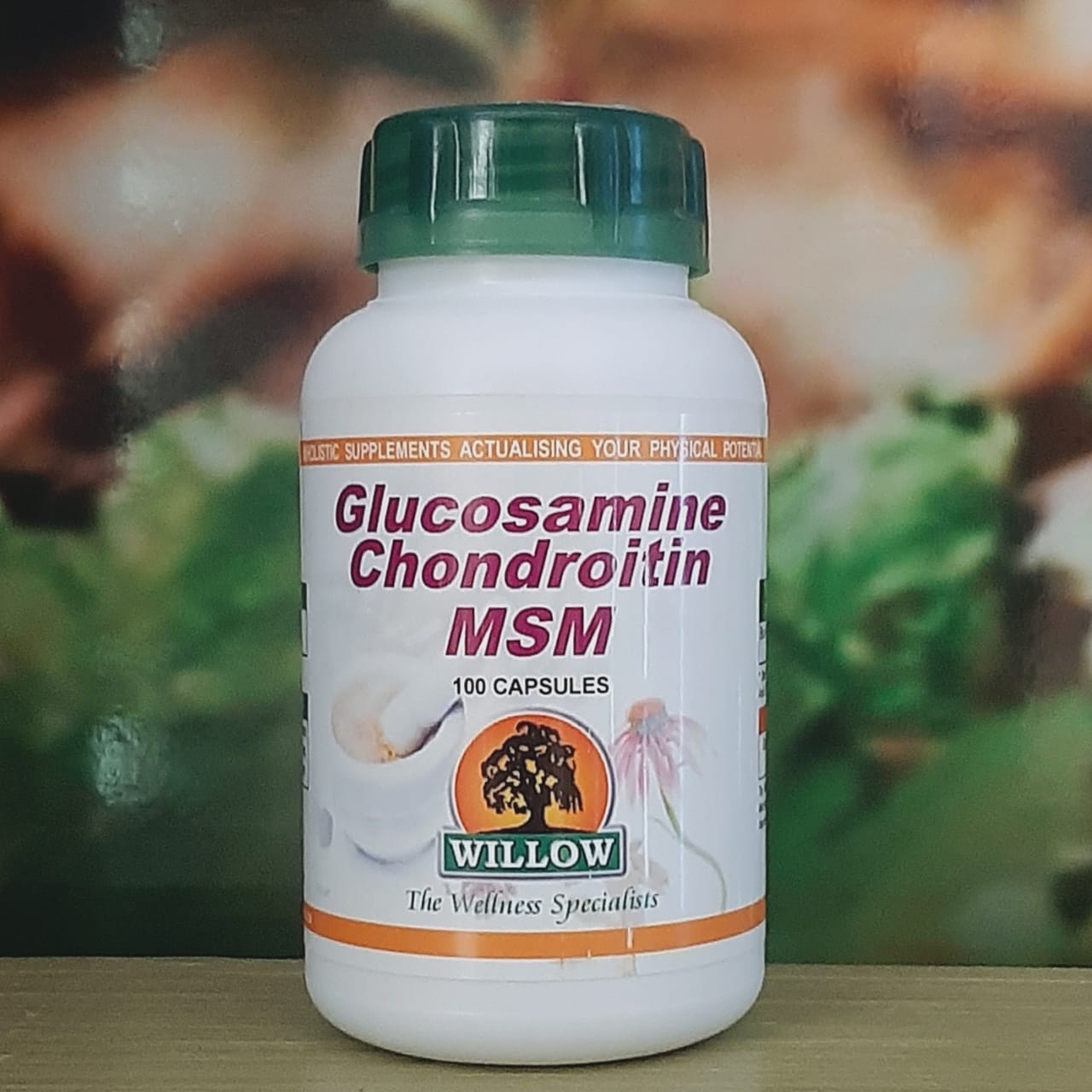 Willow Glucosamine/Chomdroitin/MSM 100 capsules