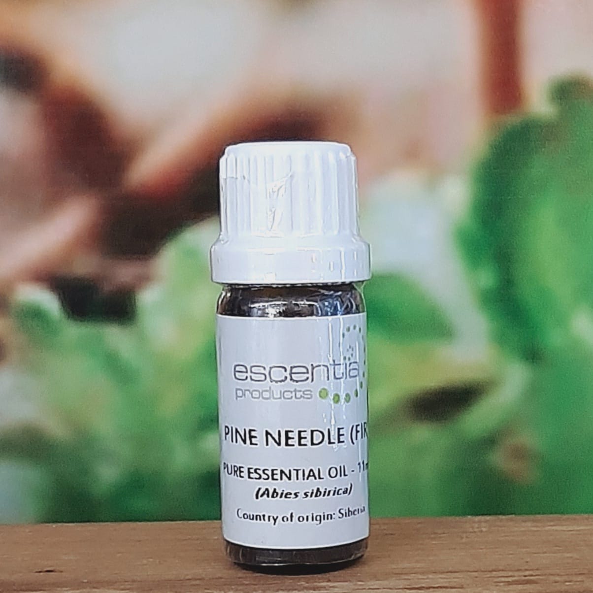Escentia Pine Needle Essential Oil 11ml