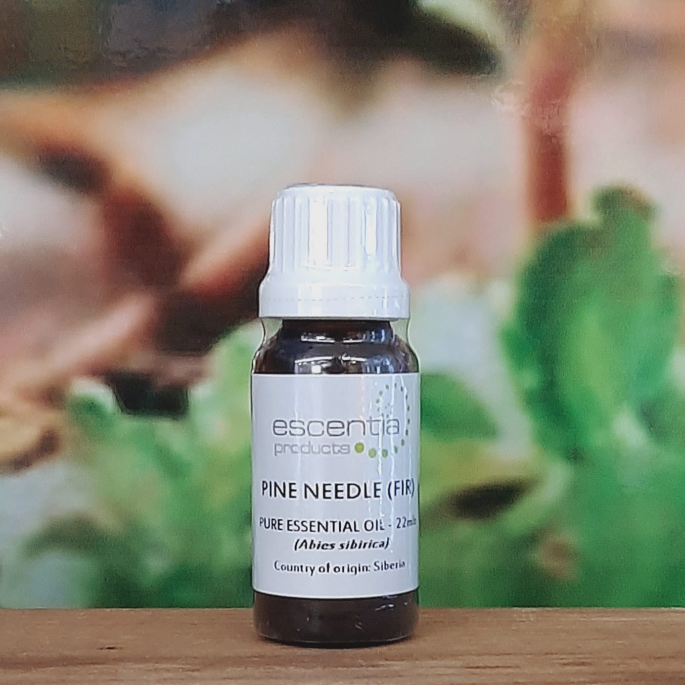 Escentia Pine Needle Essential Oil 22ml